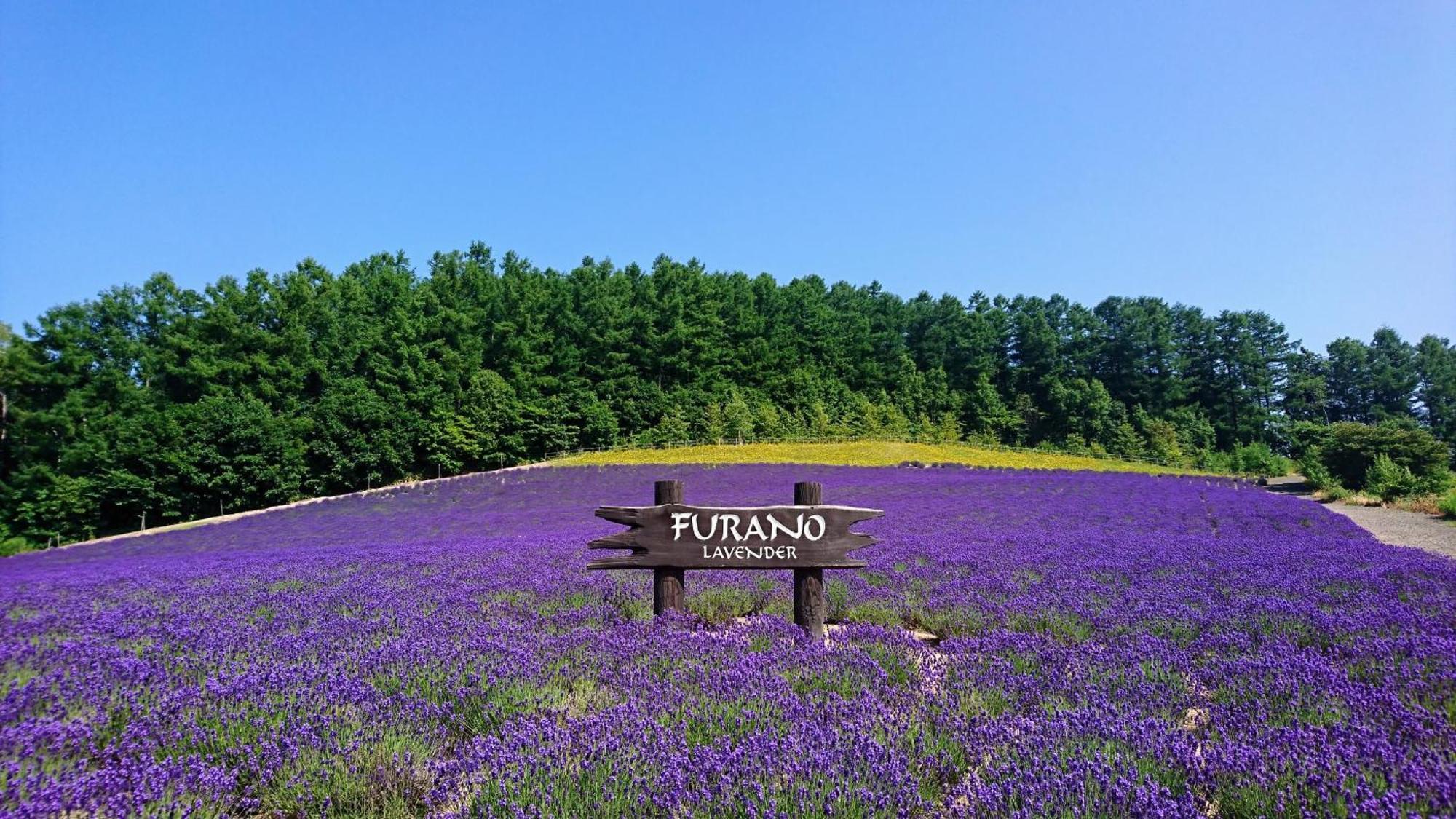 ふ A No 田園 Coterginupri Villa Nakafurano Buitenkant foto