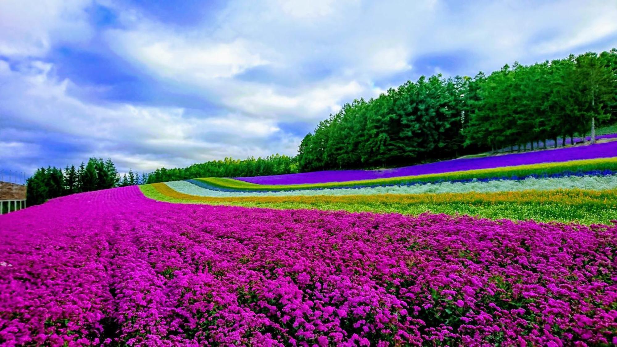 ふ A No 田園 Coterginupri Villa Nakafurano Buitenkant foto